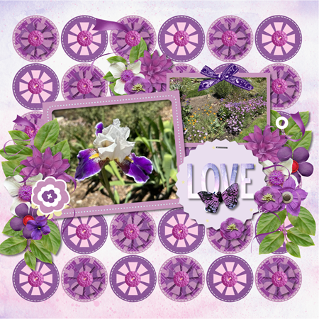 Provence_week_4