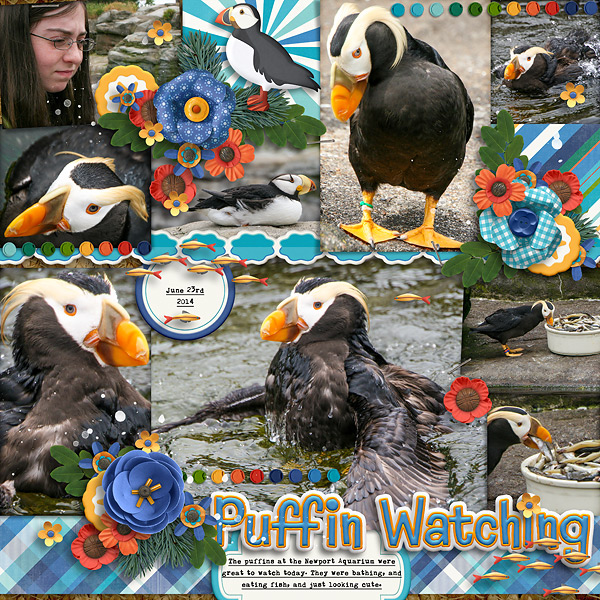 Puffins at the Newport Aquarium
