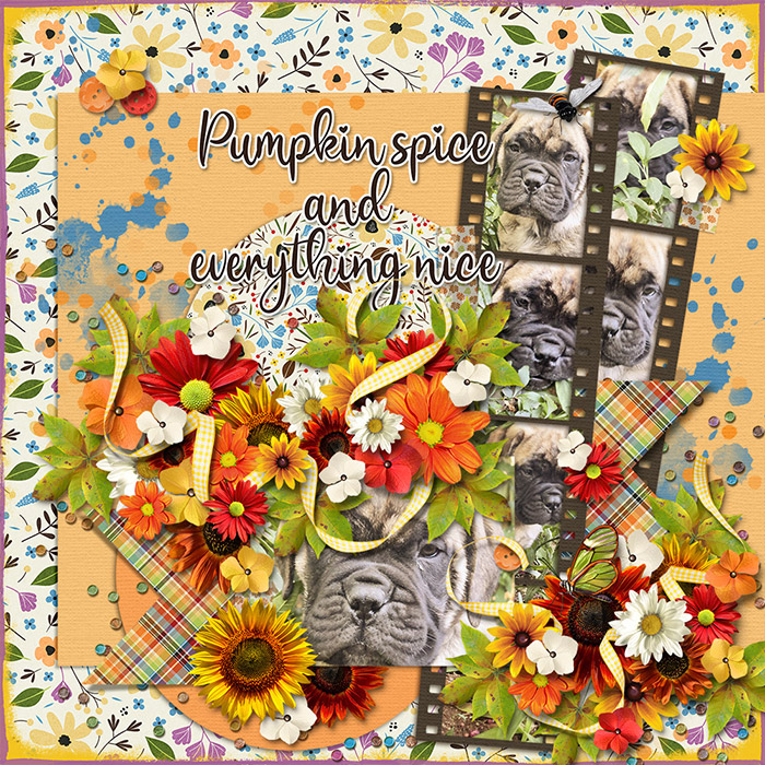Pumkin Spice