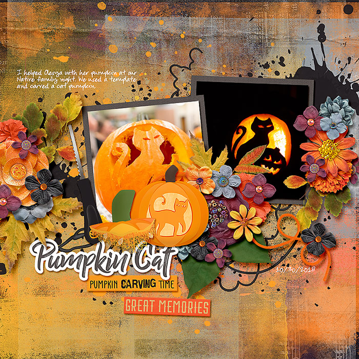 Pumpkin Cat