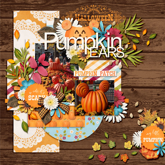 Pumpkin Ears