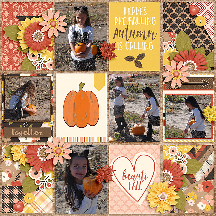 Pumpkin Farm