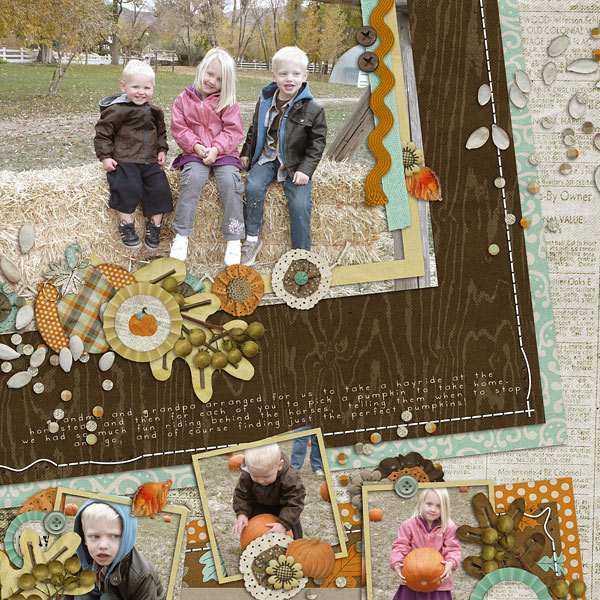 Pumpkin Patch 2