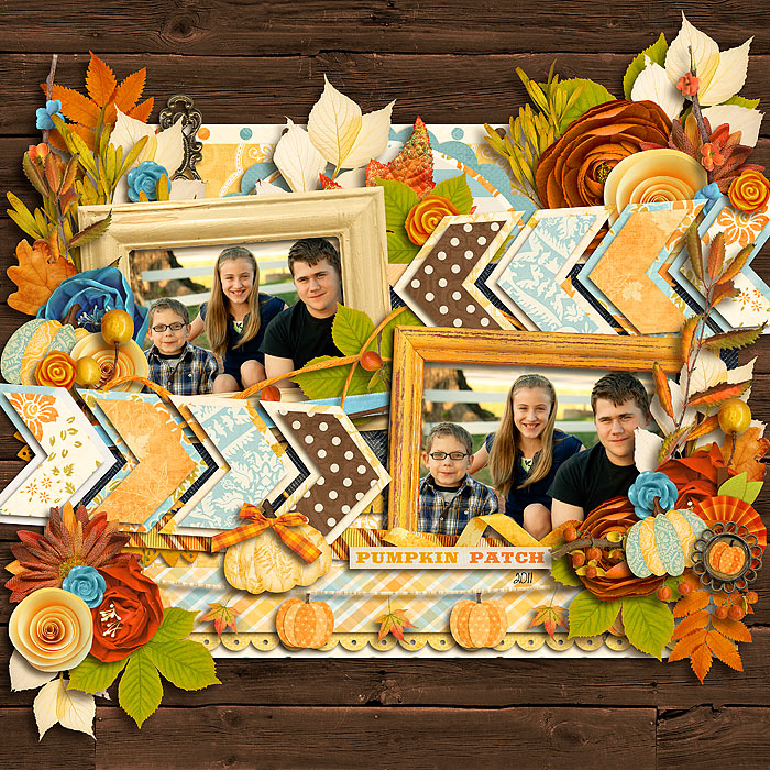 pumpkin patch 2011