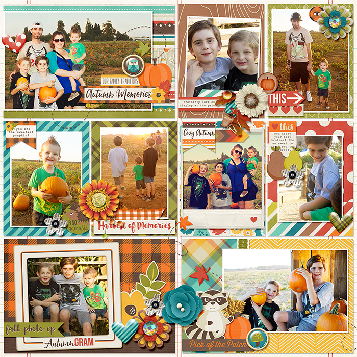 Pumpkin Patch 2013