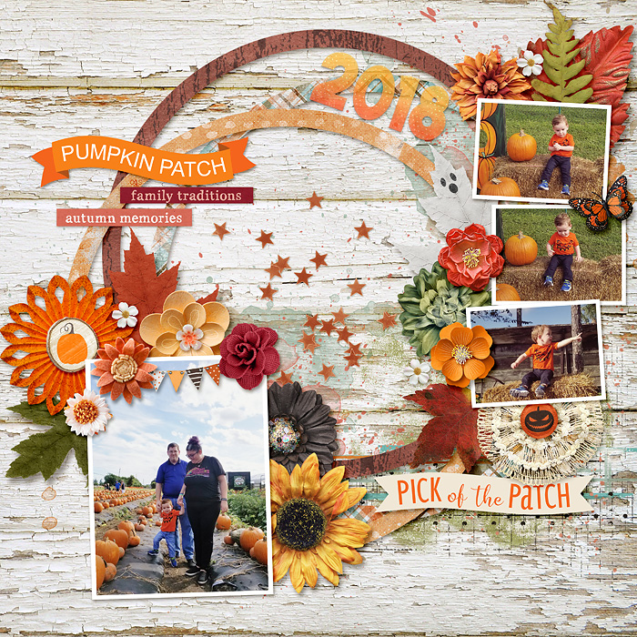 pumpkin patch 2018