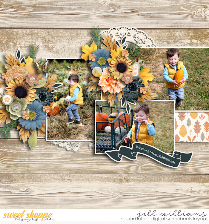 Pumpkin Patch Fun