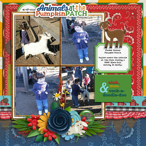 Pumpkin Patch Goats