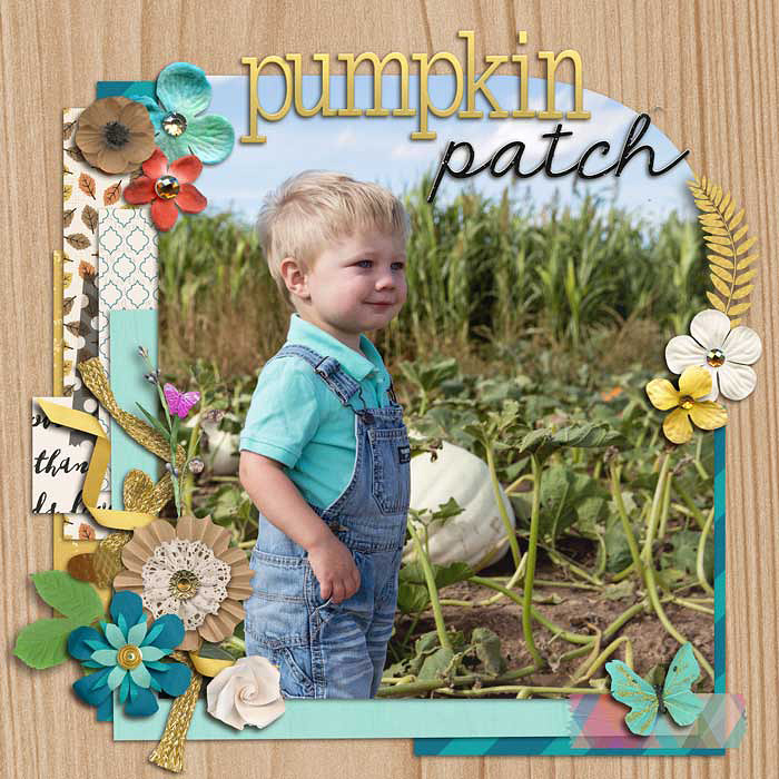 Pumpkin Patch (left)