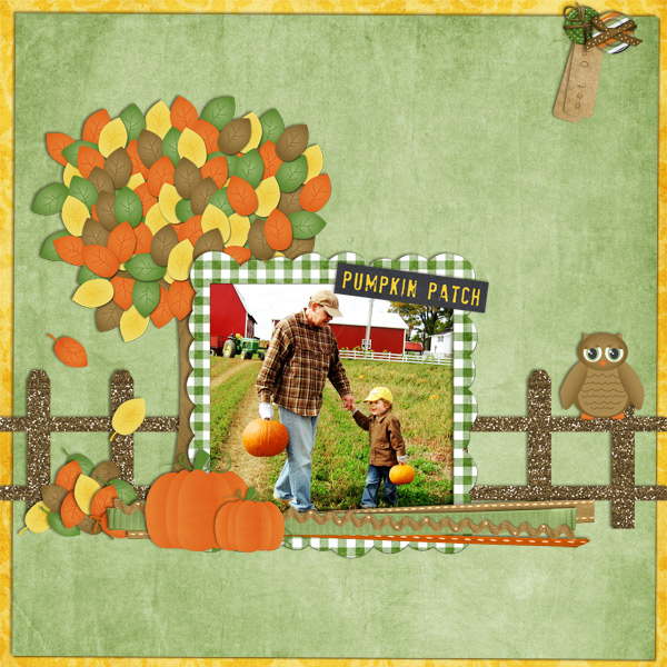 pumpkin patch