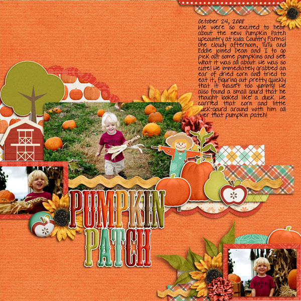 Pumpkin Patch