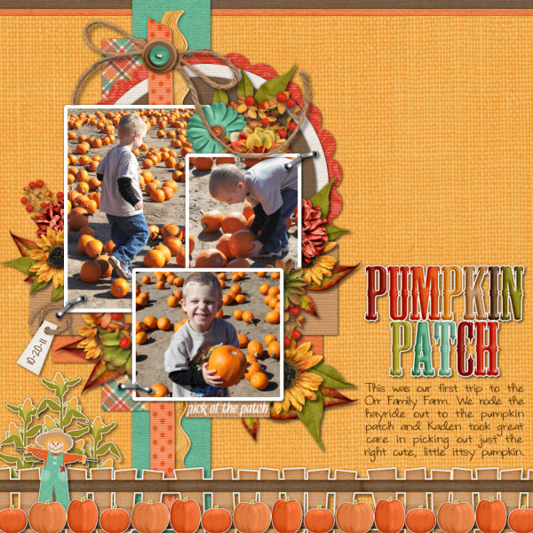 Pumpkin Patch