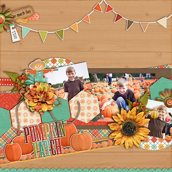Pumpkin Patch