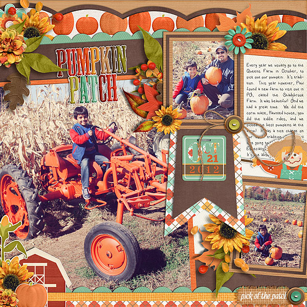 Pumpkin Patch