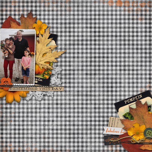 Pumpkin Patch