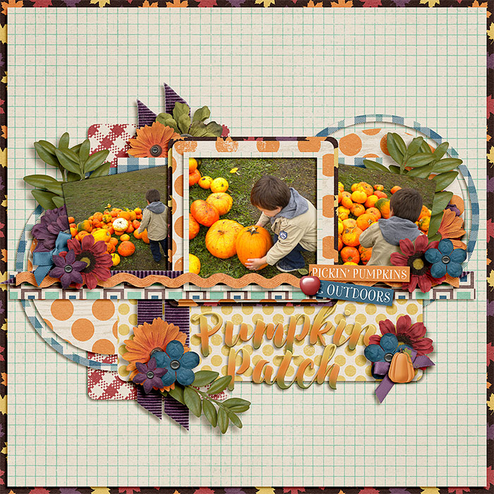 Pumpkin Patch