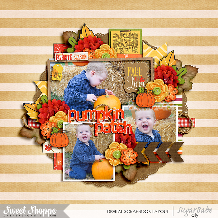 Pumpkin Patch