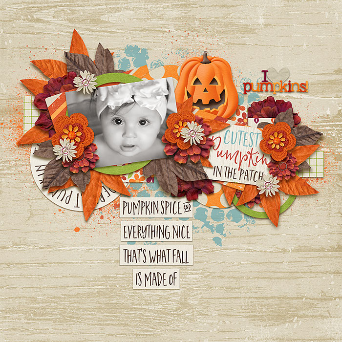 Pumpkin Patch