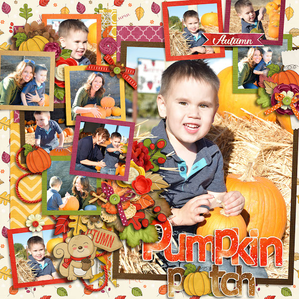 Pumpkin Patch