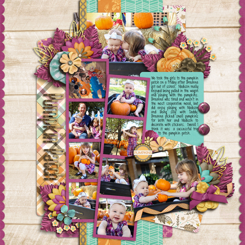 Pumpkin Patch