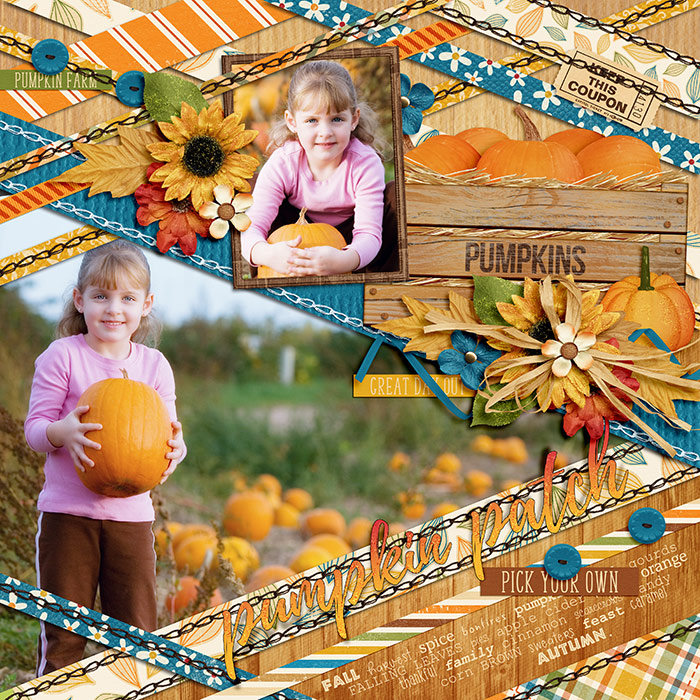 pumpkin patch