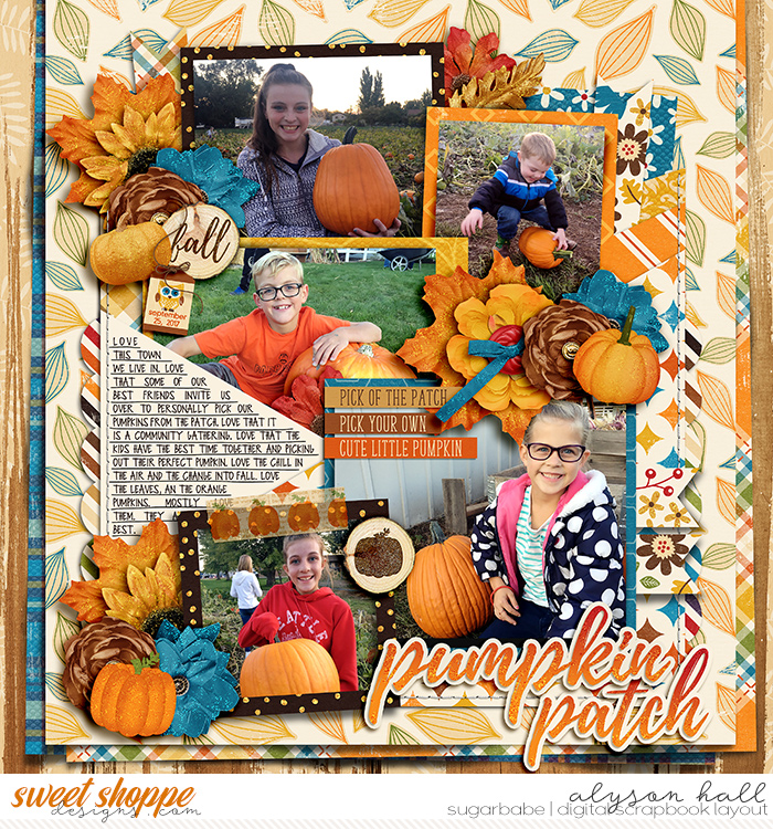 Pumpkin Patch