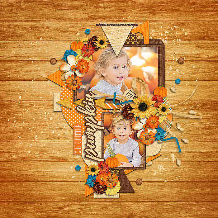 Pumpkin Patch