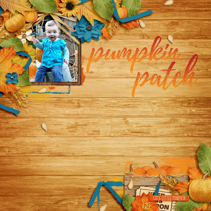 Pumpkin Patch