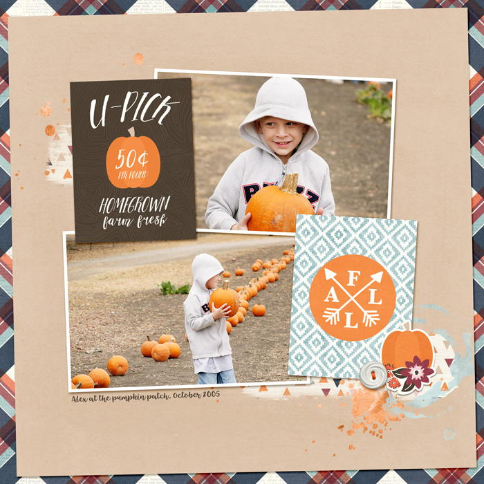 pumpkin patch
