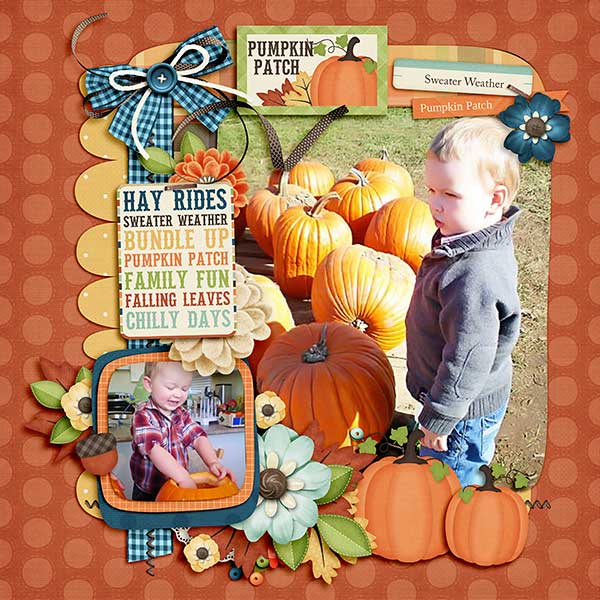 Pumpkin Patch