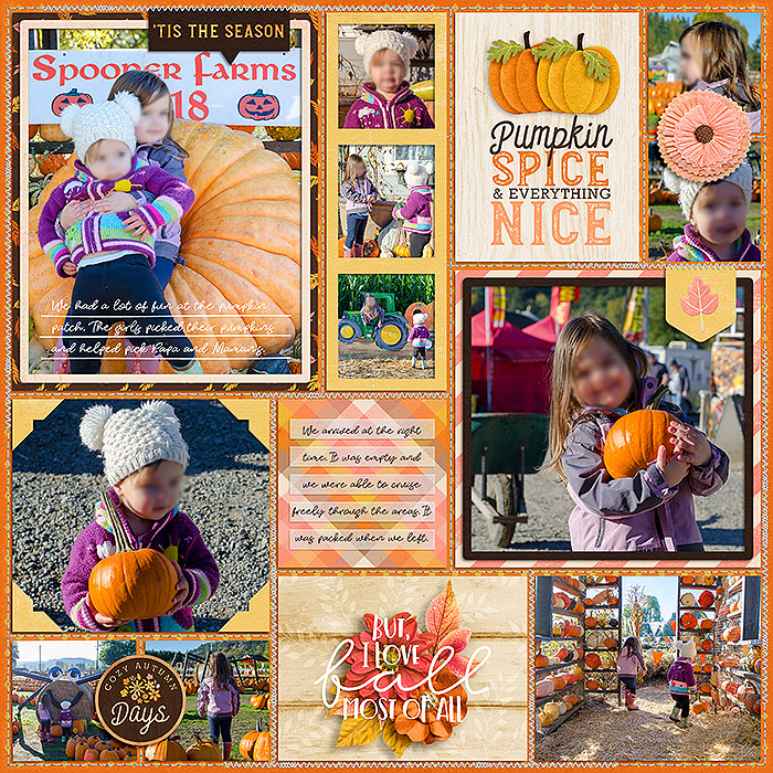 Pumpkin Patch