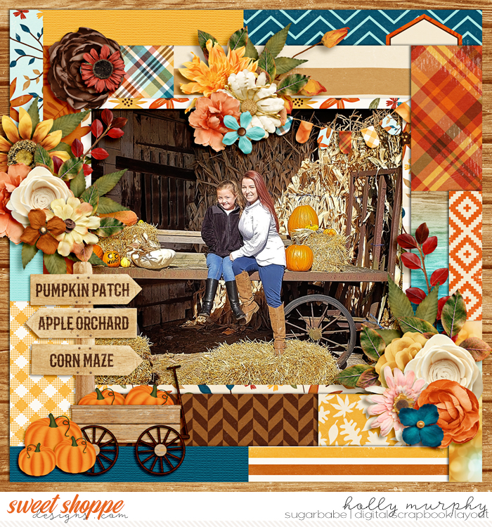 Pumpkin Patch