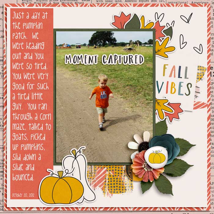 Pumpkin Patch