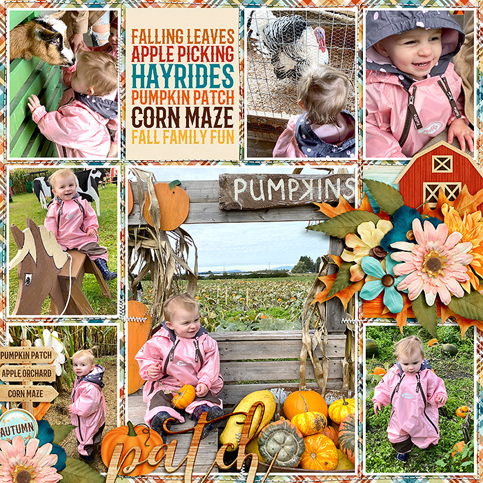 Pumpkin Patch