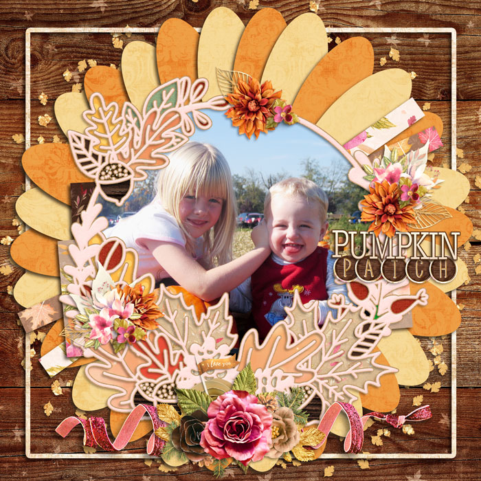 Pumpkin Patch