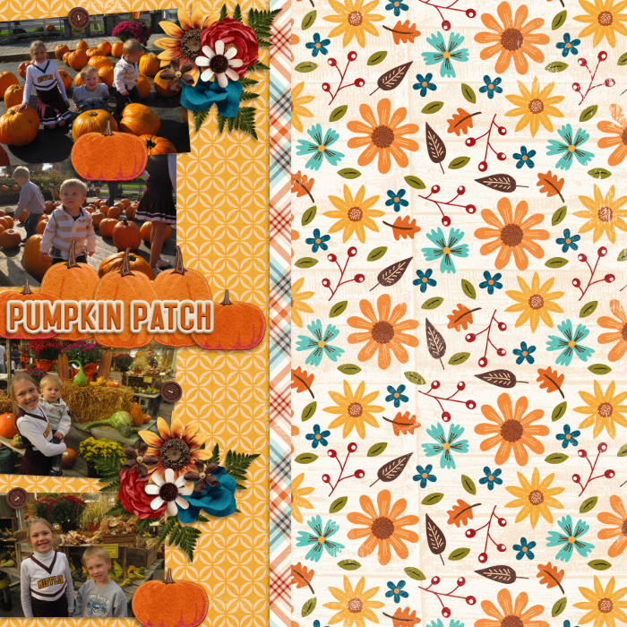 Pumpkin Patch