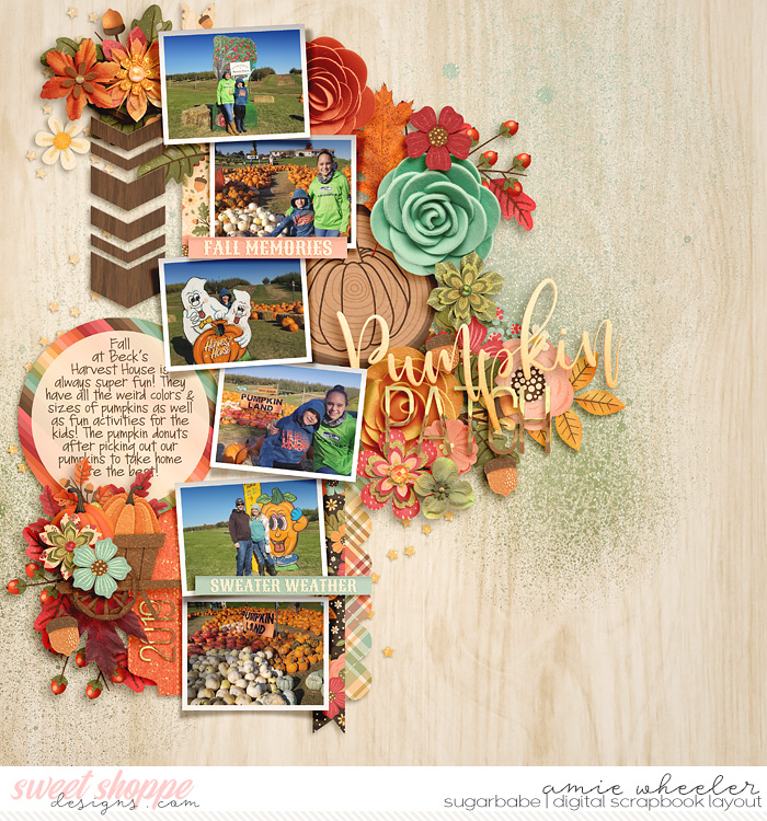 Pumpkin Patch