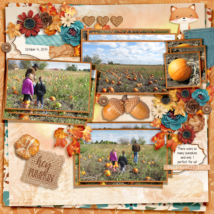Pumpkin Patch