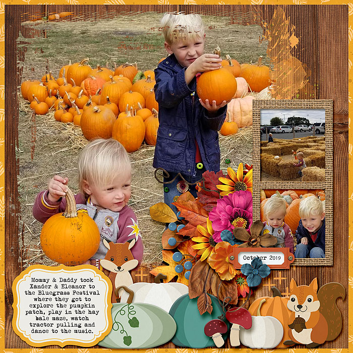 Pumpkin Patch