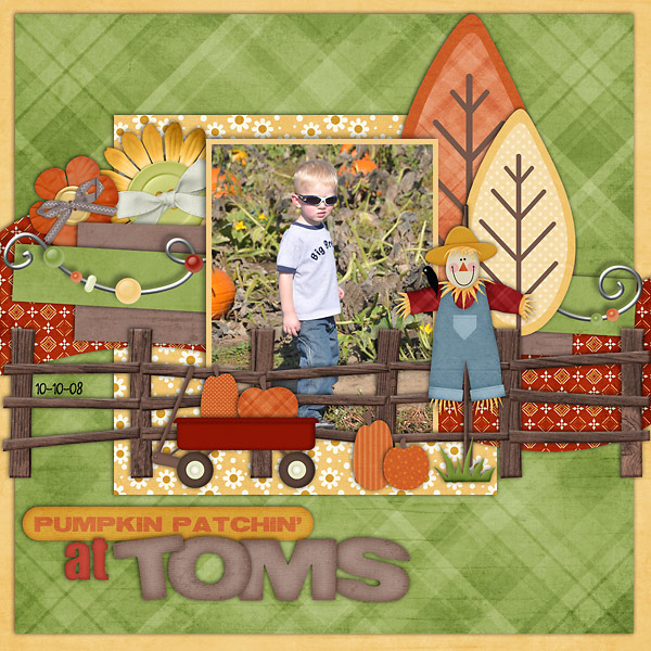 Pumpkin Patchin' at Tom's