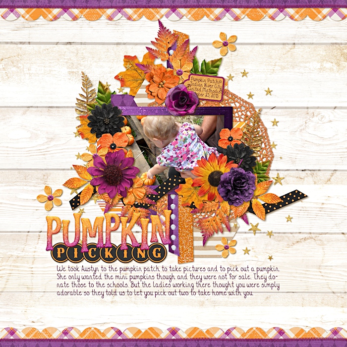 Pumpkin Picking