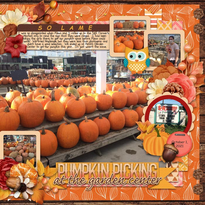 Pumpkin Picking