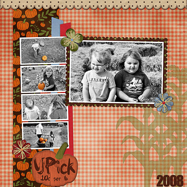 Pumpkin Picking