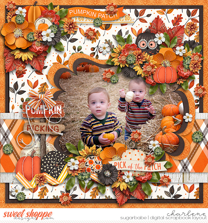 Pumpkin Picking