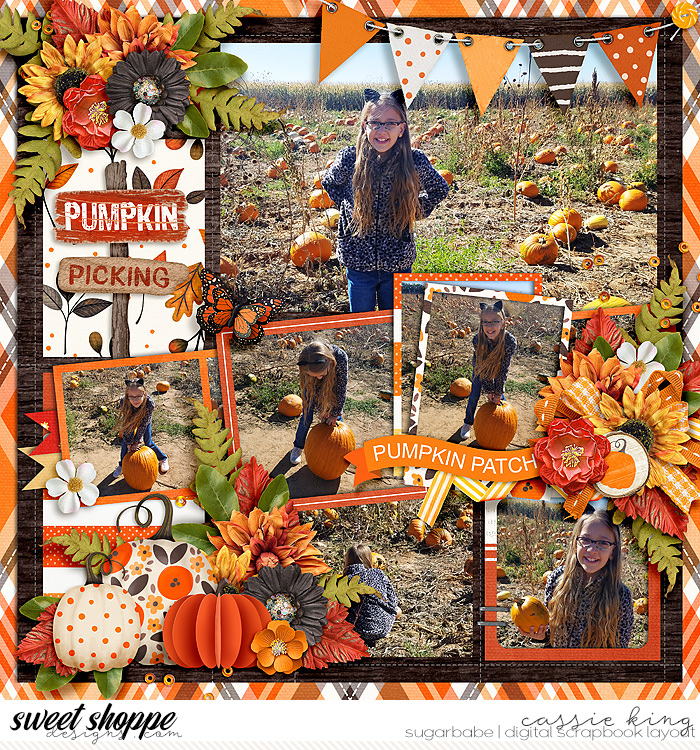Pumpkin Picking
