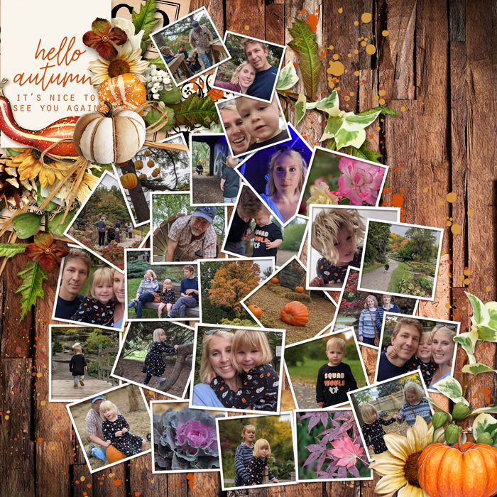 Pumpkin time