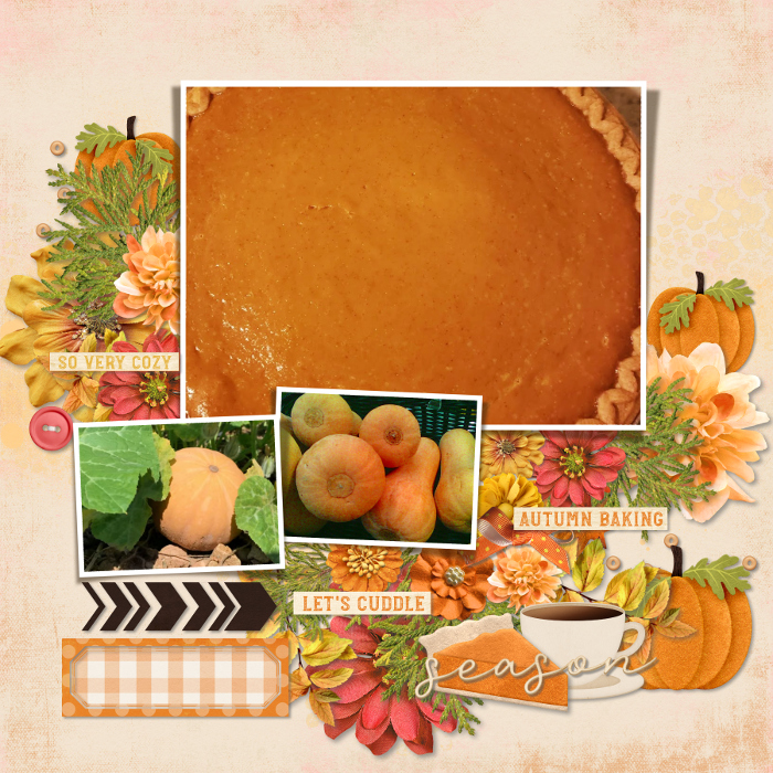 Pumpkins and pumpkin pie