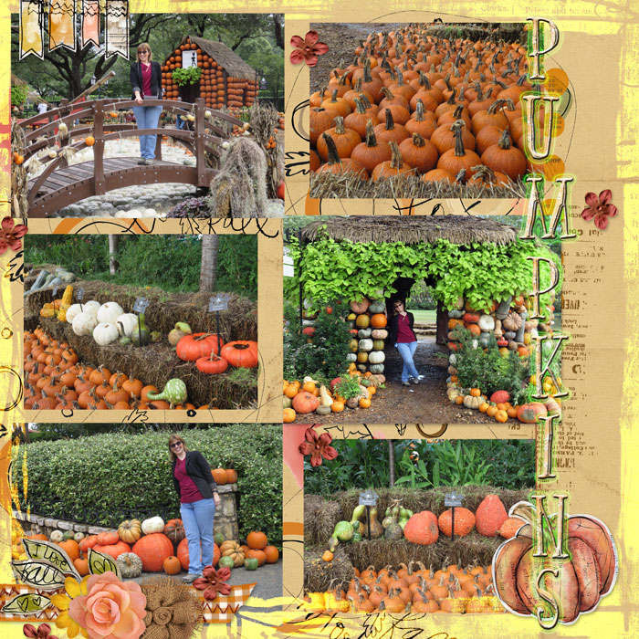 Pumpkins October 2018