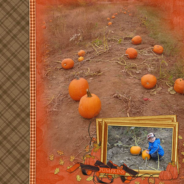 Pumpkins!!