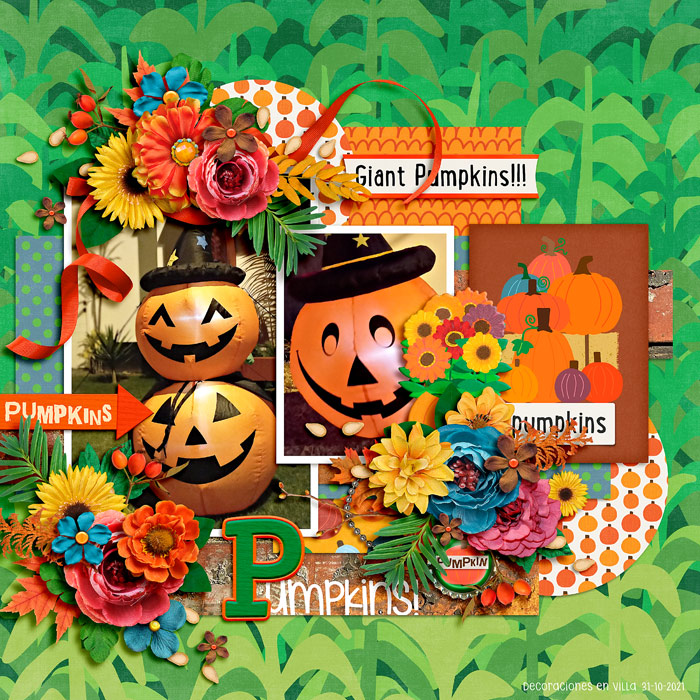 pumpkins!!